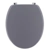 ABATTANT WC 18 POUCES ATTACHES ACIER INOXYDABLE GRIS