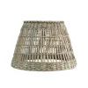 ABJ CONICA L SEAGRASS