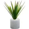 ALOE VERA POT CERAMIQUE H.48CM