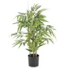 BAMBOU 70CM