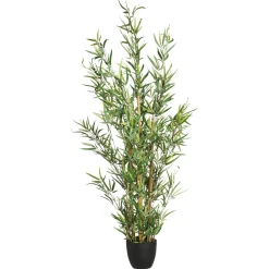 BAMBOU EN POT H.120CM