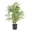 BAMBOU 240 FEUILLES H.70CM
