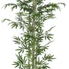 BAMBOU 5 TRONCS NATURELS 838 FEUILLES H.180CM