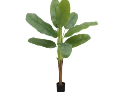 BANANIER 9 FEUILLES H160CM