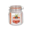 BOCAL HERMETIQUE CLIP METAL 1L