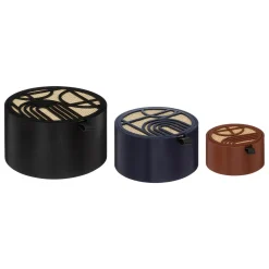 BOITE BOIS OLME TAILLE S