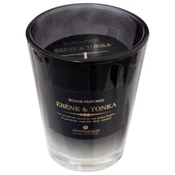 BOUGIE PARFUMEE VERRE ALMA TONKA 270G