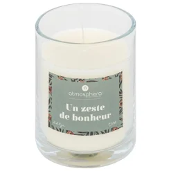 BOUGIE PARFUMEE VERRE AVEC BIJOU MILY EXOTIQUE 220G