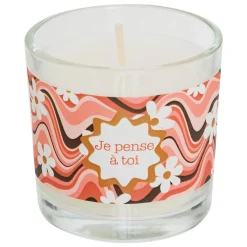 BOUGIE PARFUMEE VERRE DARIL VAN 46G