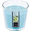 BOUGIE PARFUMEE VERRE FLEUR TIARE 500G