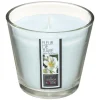 BOUGIE PARFUMEE VERRE FLEUR TIARE NINA 190G