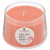 BOUGIE PARFUMEE VERRE IZOR FRUIT DES BOIS 110G