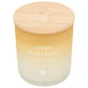 BOUGIE PARFUMEE VERRE SANA TERRE D AILLEURS 255G