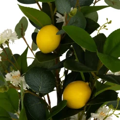 BOUQUET CITRONS GILDA FRUITS ET FLEURS H.64CM