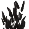 BOUQUET QUEUE DE LAPIN LUMIERE D HIVER H.58CM