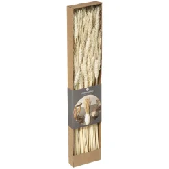 BOUQUET SECHE NATUREL KRAFT H.60CM