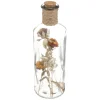 BOUTEILLE VERRE FLEURS SECHEES D.9X28CM