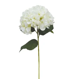 BRANCHE HORTENSIA H80CM CREME