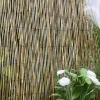 BRISE VUE ROSEAUX 150X300CM