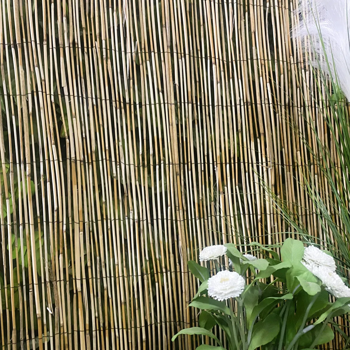 BRISE VUE ROSEAUX 100X300CM