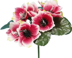 BUISSON ANEMONE