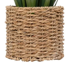 BUNCH LIN POT NATUREL ZYA H.122CM