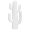 CACTUS DECO EXTERIEUR RODRIGO BLANC H.57CM