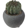 CACTUS POT CIMENT NOIR D.6.5CM