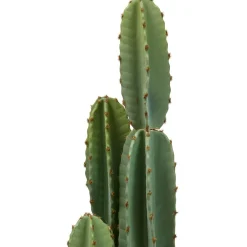 CACTUS 3 TRONCS POT BLANC SIEN H.132CM