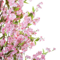CERISIER ROSE H.200CM