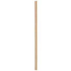 CHOPE BAMBOU PALM 40CL