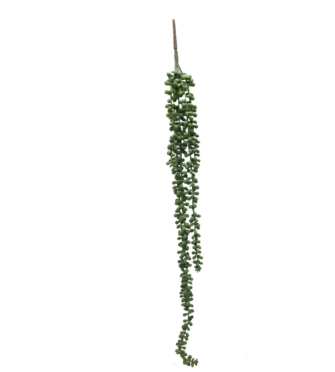 CHUTE RETOMBANTE SENECON H.78CM