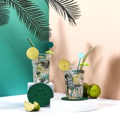COFFRET COCKTAIL 10 PIECES MOJITO