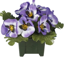 COLUMBARIUM POT PENSEES