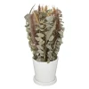 COMPOSITION FLEURS SECHEES POT CERAMIQUE