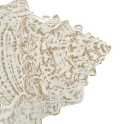 COQUILLAGE CERAMIQUE OCEANE L.20CM