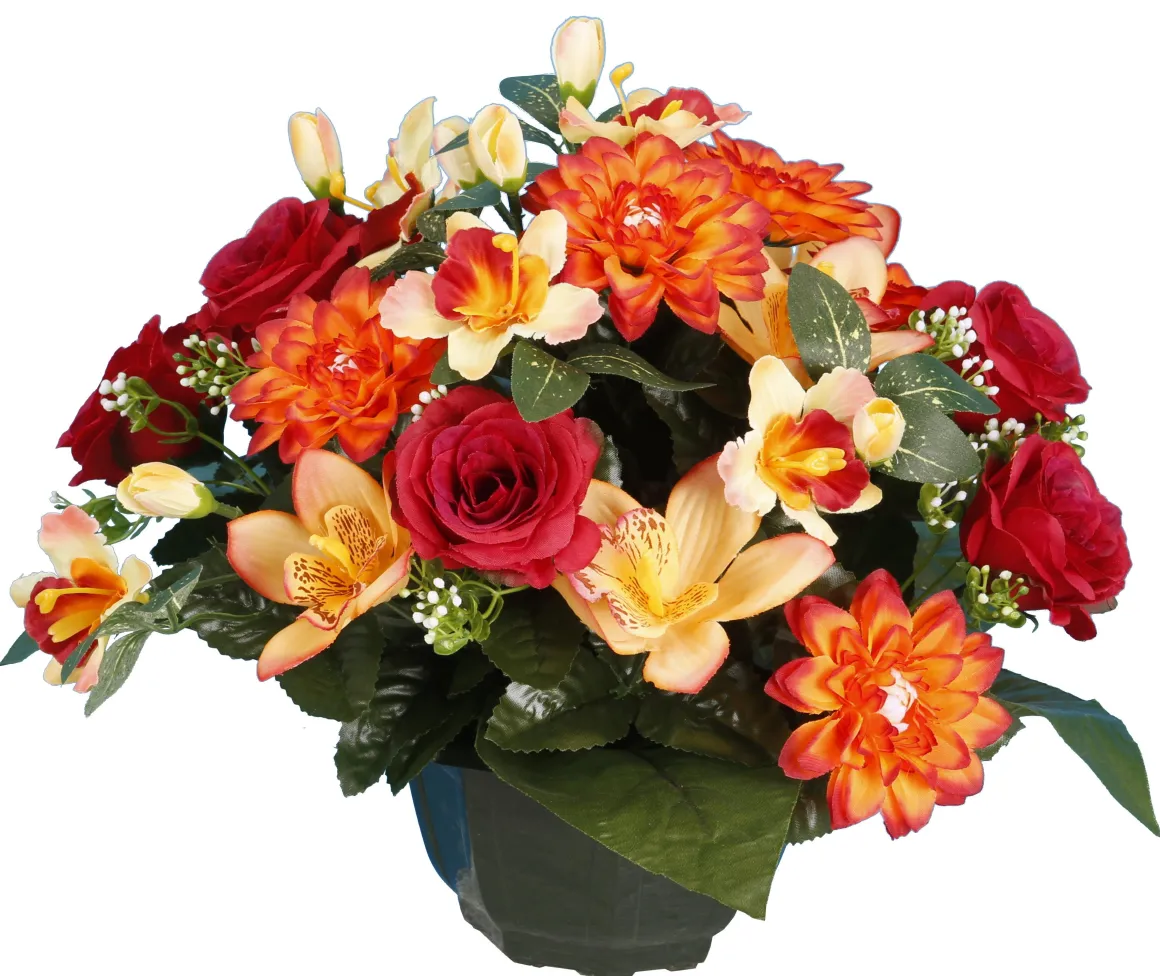 COUPE DAHLIA ROSETTE ORCHIDEE