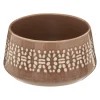 COUPELLES TROPIQUES 13.5CM