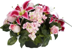 COUPE LYS HORTENSIA