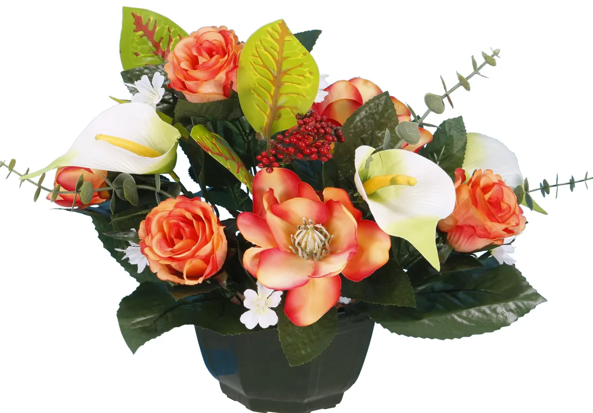 COUPE MAGNOLIA BOUTON ROSE ARUM