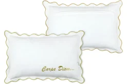 COUSSIN CARPEDIEM ECRU 40X60CM