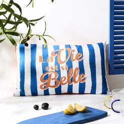 COUSSIN DEPERLANT DOLCE VITA 30X50CM