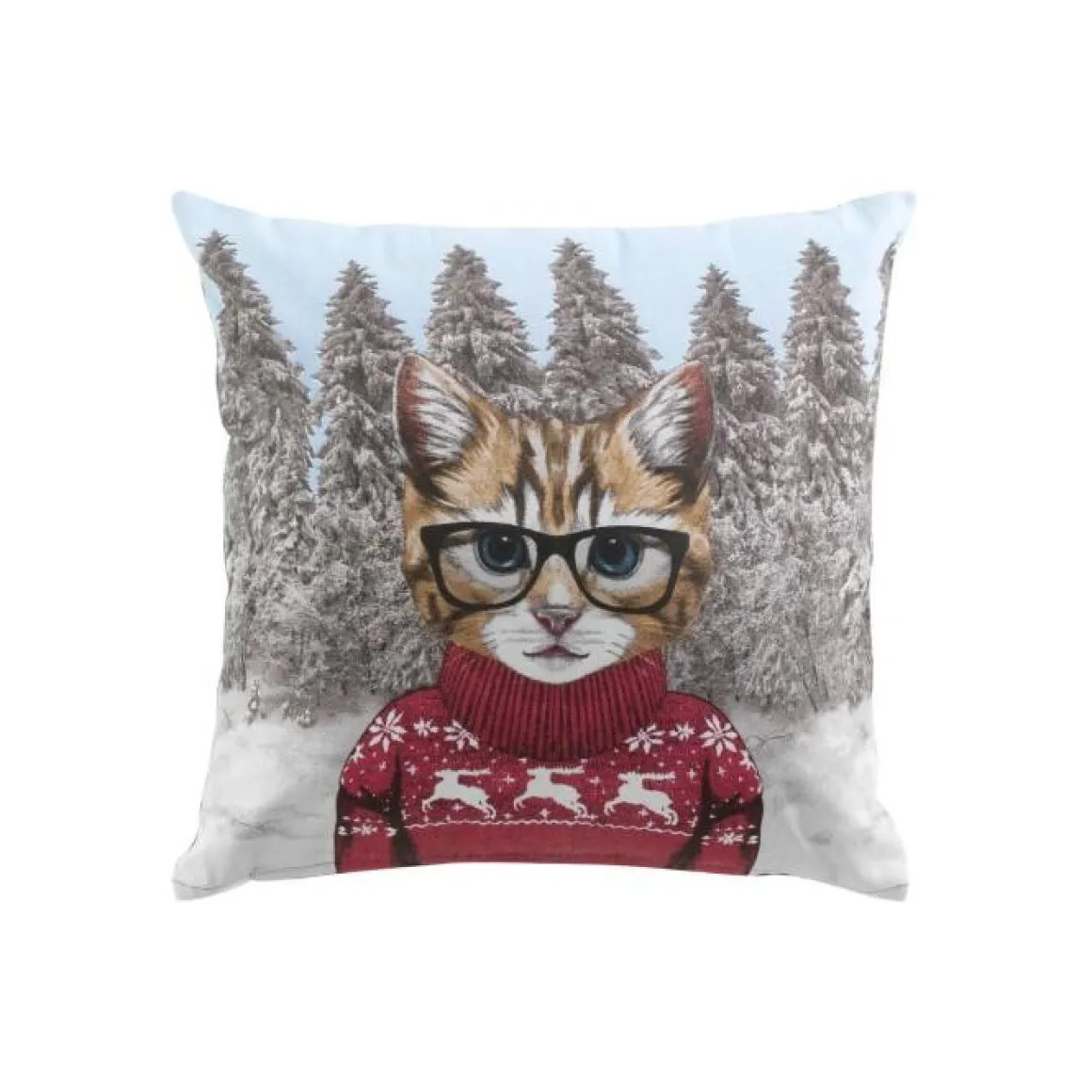 COUSSIN 40 X 40 CM COTON IMPRIME CHAPIN