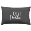 COUSSIN 40X60CM IMPRIME DEPERLANT LAFIESTA