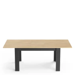 CRAFT TABLE 160-200X90CM AVEC ALLONGE