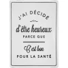 DECO MURALE PLAQUE CYPRIEN METAL D.45X35CM