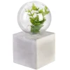 DECORATION LUMINEUSE A POSER PLANTE