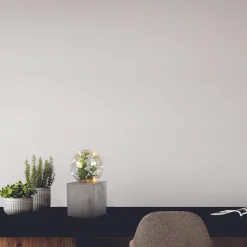 DECORATION LUMINEUSE A POSER PLANTE