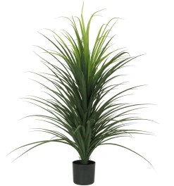 DRACENA EN POT PLASTIQUE NOIR H120CM