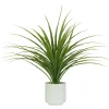 DRACENA 61 FEUILLES H95CM